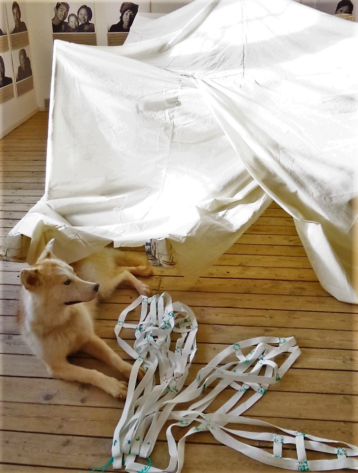 Dog-sledding-exhibition-at-the-Ilulissat-museum-in-Greenland