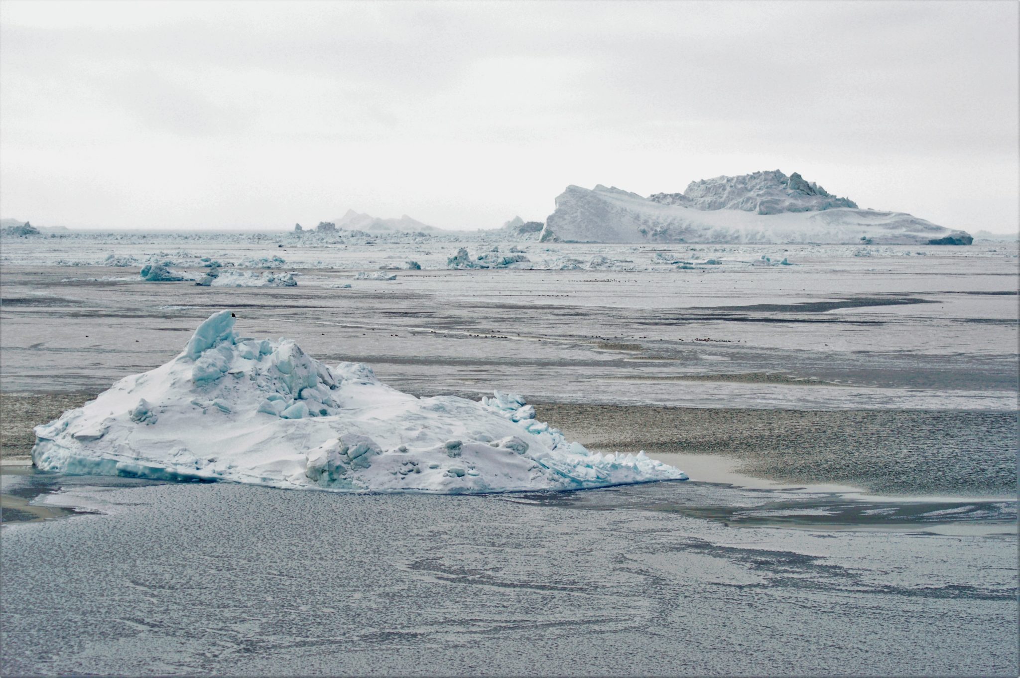Iceberg chunks in Icefjord, Ilulissat, Greenland