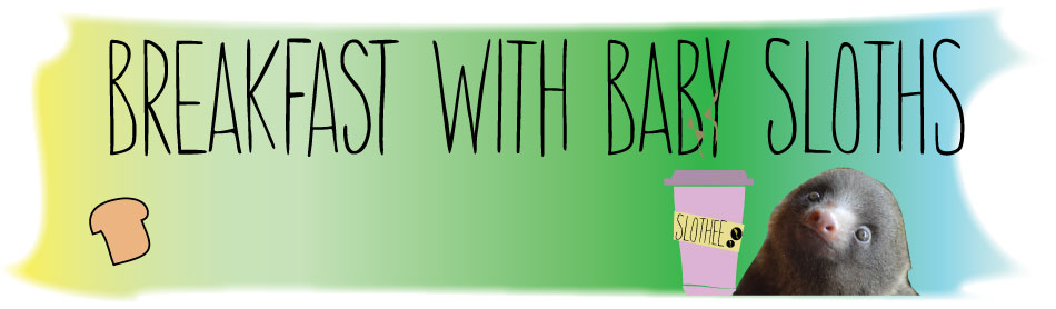 Picture of baby sloth from the Breakfast with Baby sloths tour in Costa Rica