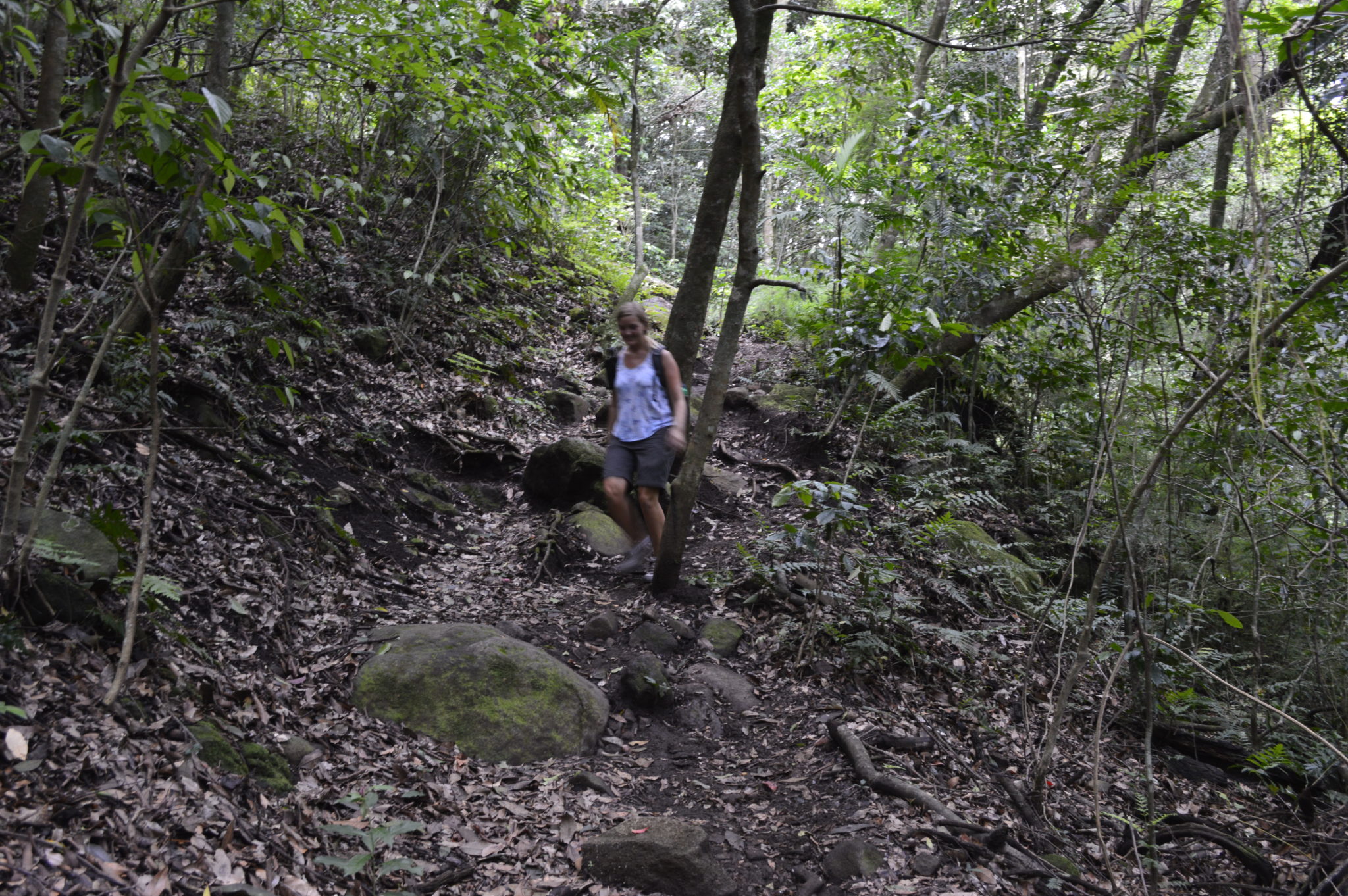 Hiking back through the La Cangreja trail almost dark in the jungle of Costa Rica