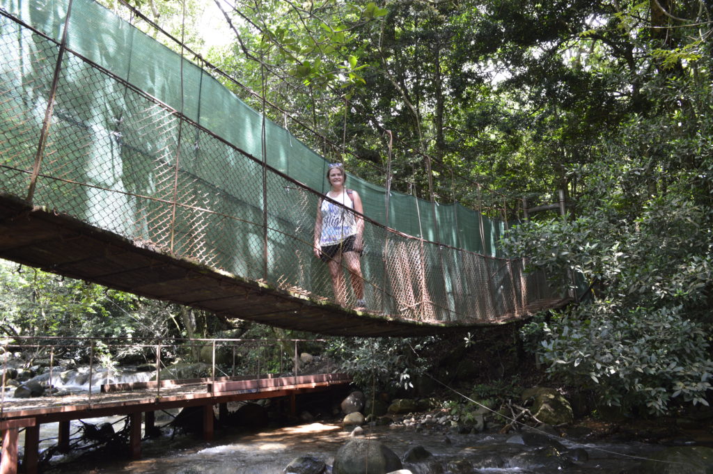 A picture of a jungle rope bridge in the Rincon De Le Veija National park in Costa Rica