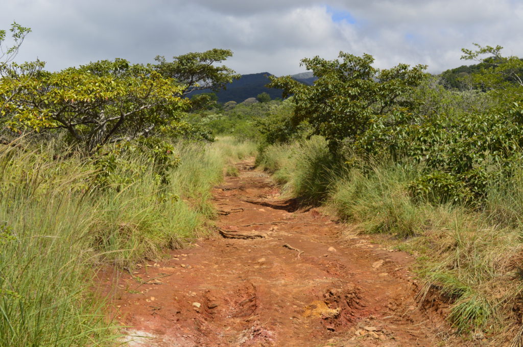 RIncon De La Vieja National Park in Costa Rica
