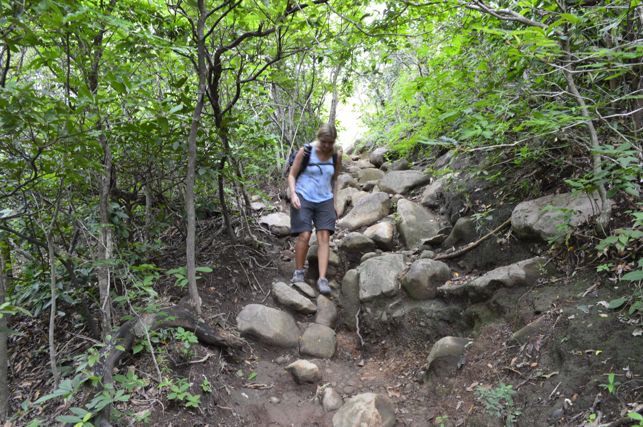 Rocky terrain in Costa Rica rain forest