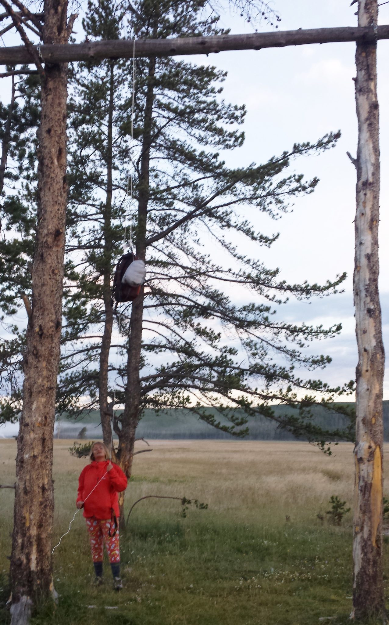 Hanging bags in Yellowstone National Parks to protect from bears