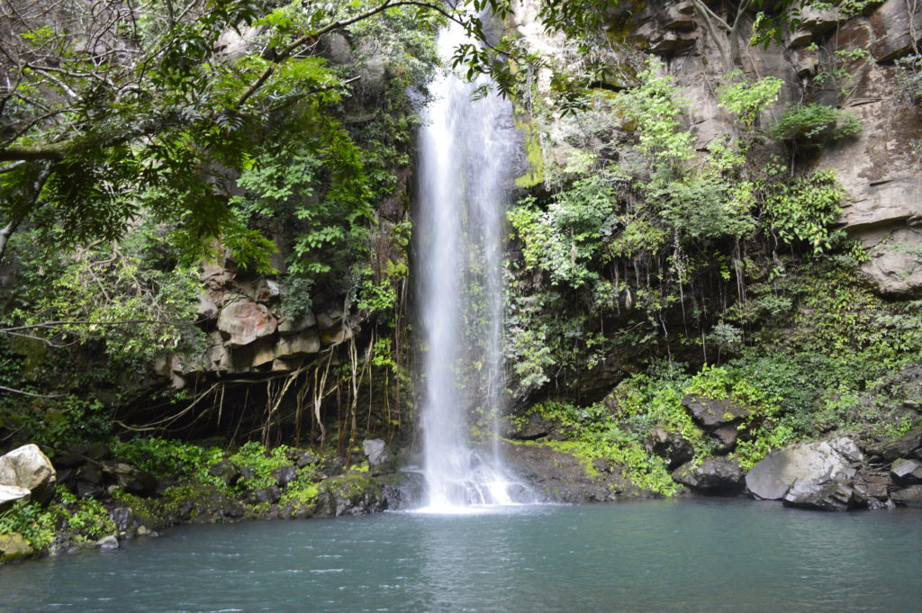 La Canreja waterfall in Rincon De La Veija National Park in Costa Rica