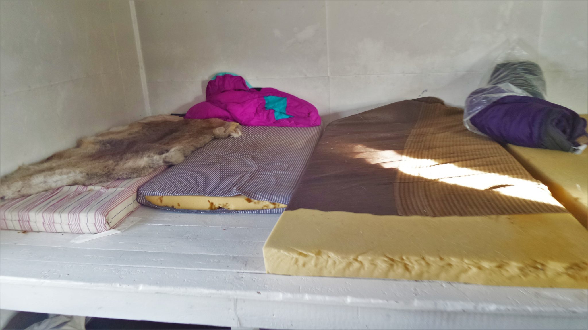 Our beds for the night in a hunter's cabin in Greenland