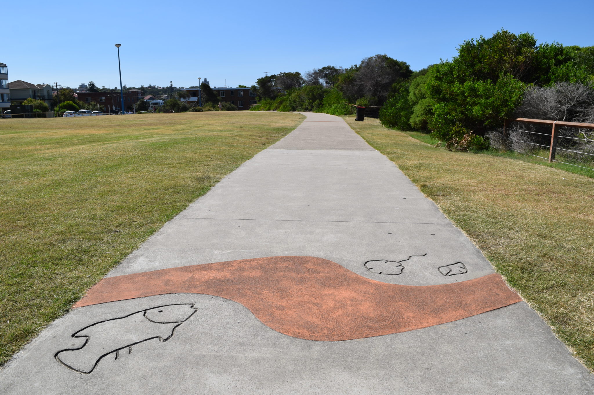 Picture of the pathway on the Coogee to Bondi Coastal Walk