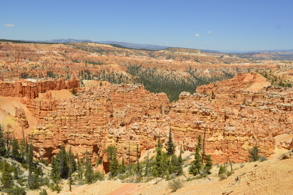 Photograph of a view of the Peek a boo hike Bryce Canyon National Park