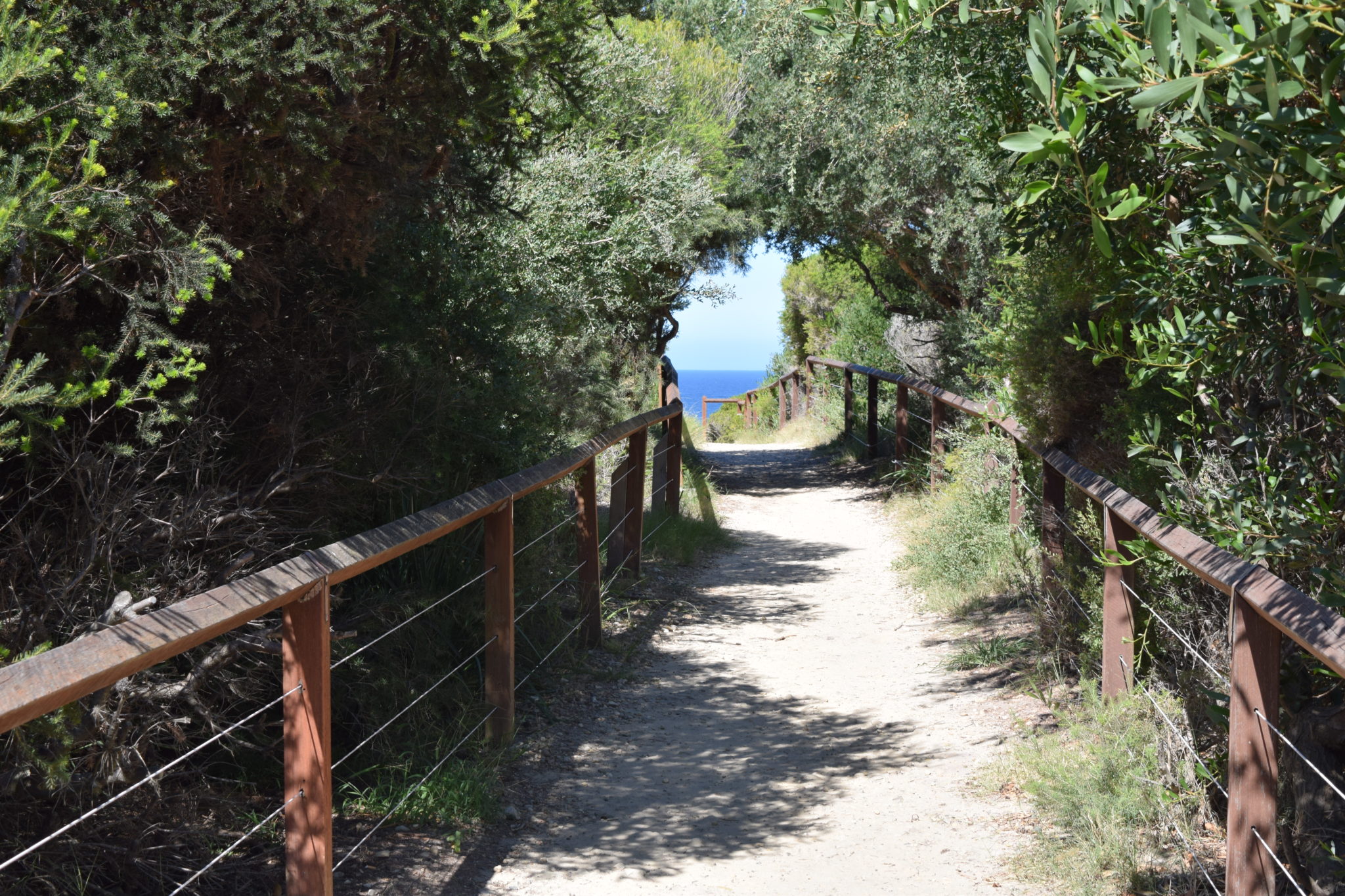 Picture of a walkway on the Bondi to Coogee Coastal Walk Sydney Australia