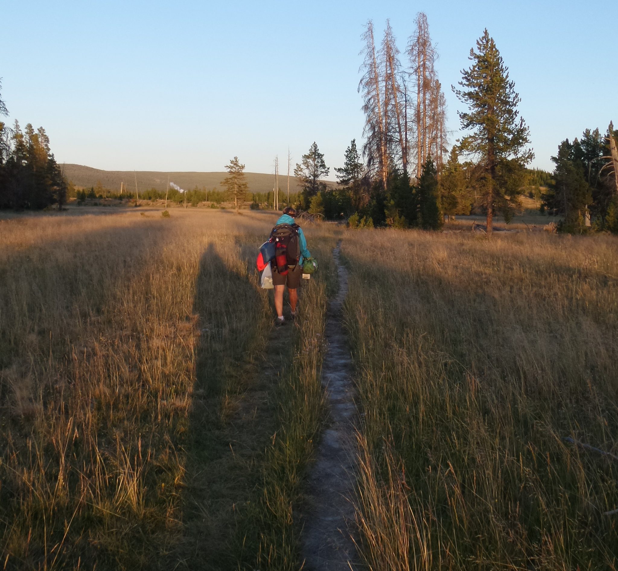 Trail to wilderness camping spot in Yellowstone National Park