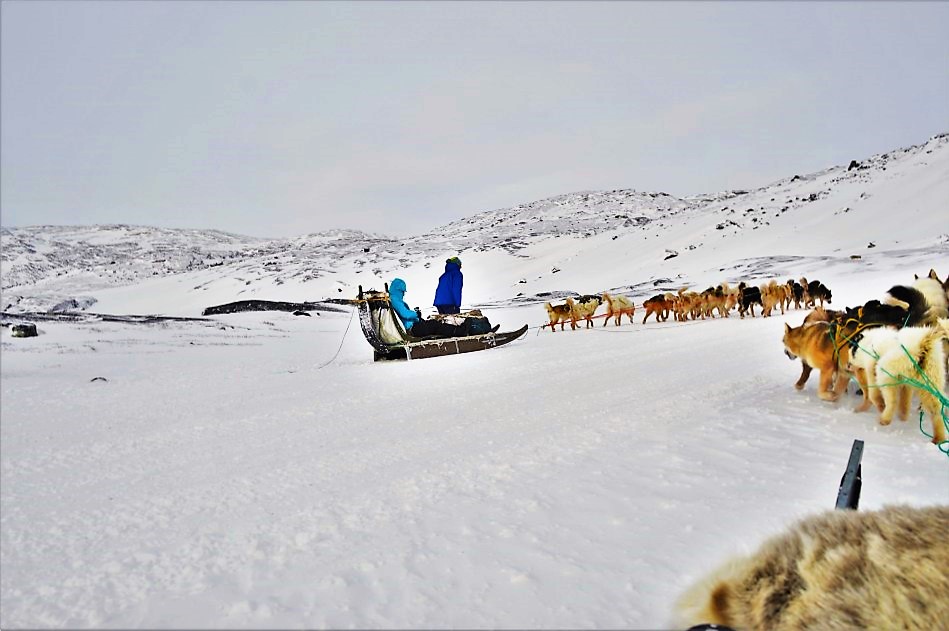 Two-sleds-dog-sledding-in-Greenland