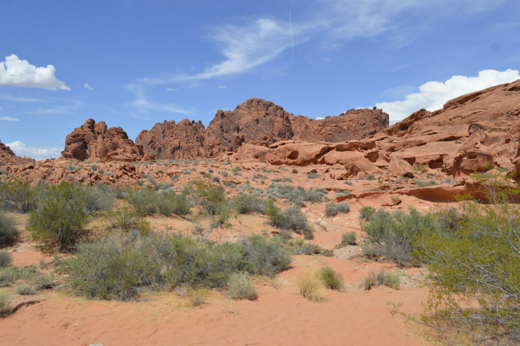 Picture of Valley of Fire State Park