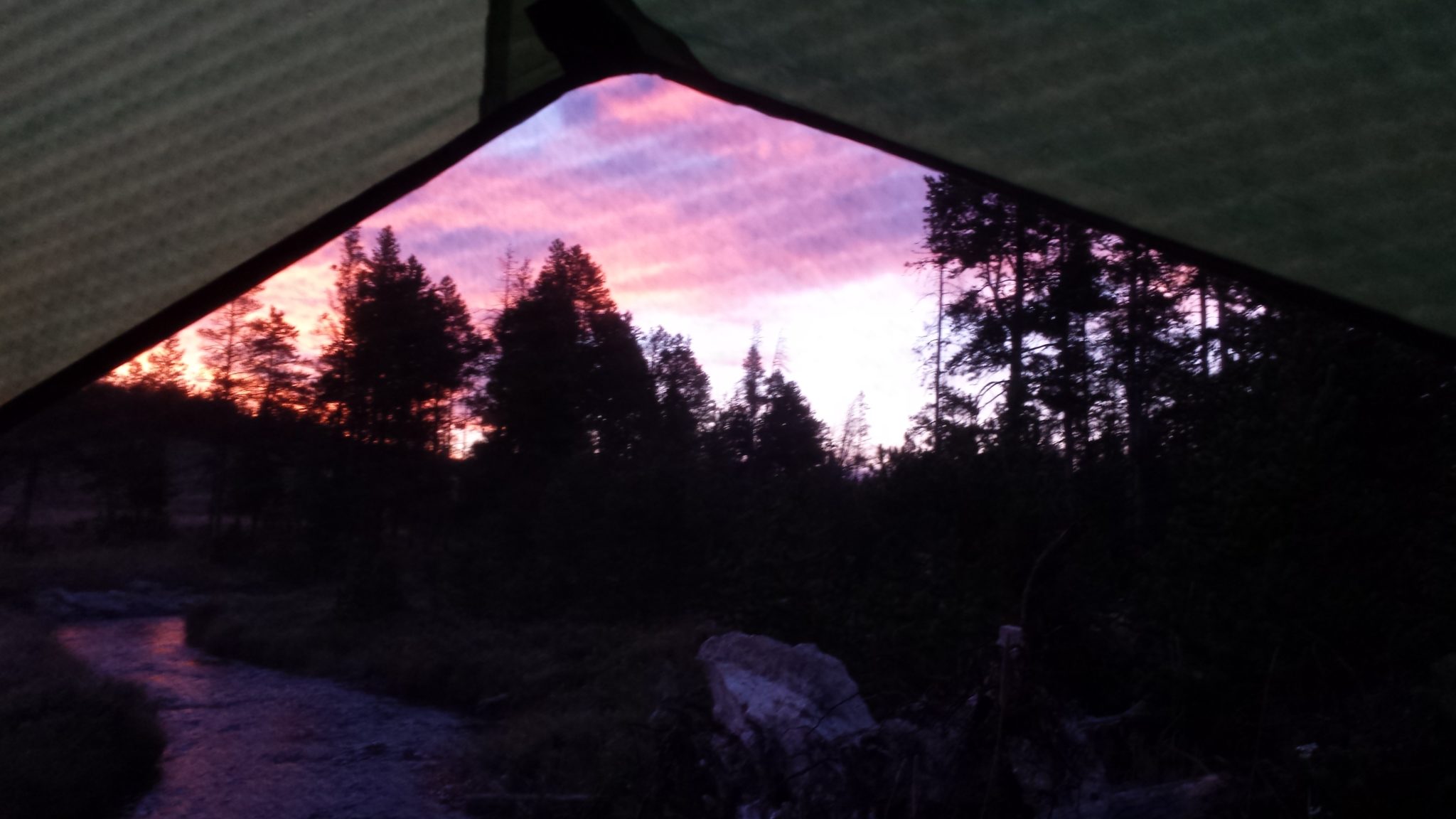 View of sunrise in Yellowstone through the window of the tent