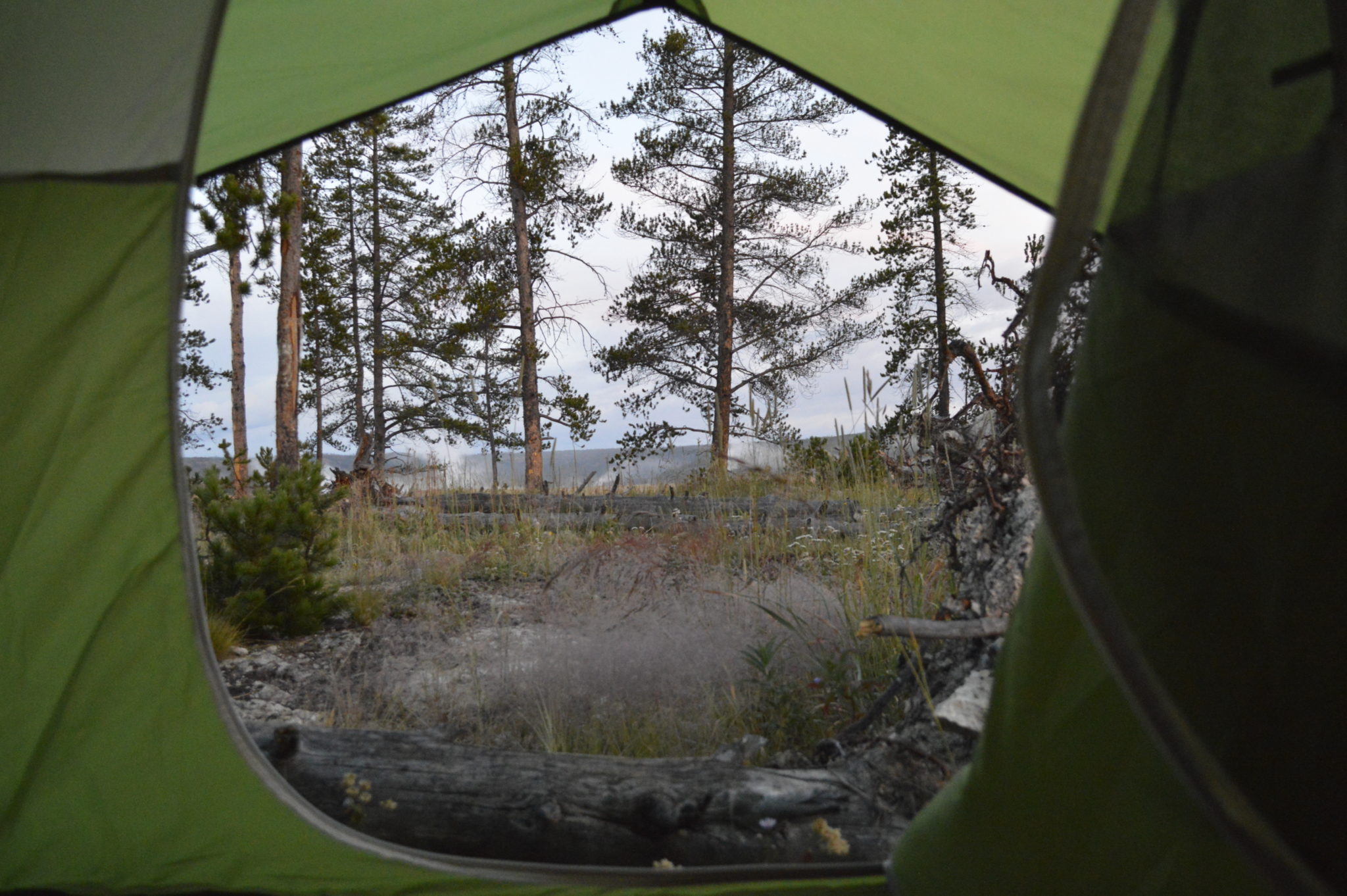View of Yellowstone National Park camping