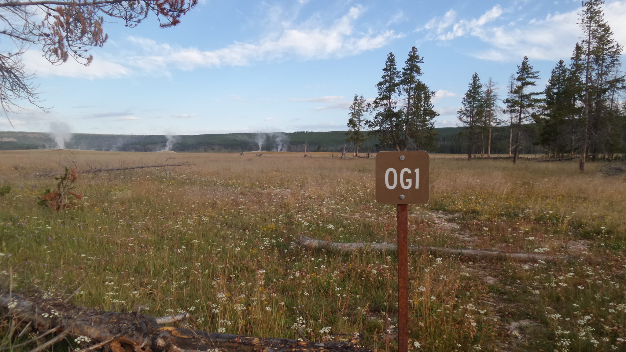 Wilderness camping spot OG1 in Yellowstone National Park