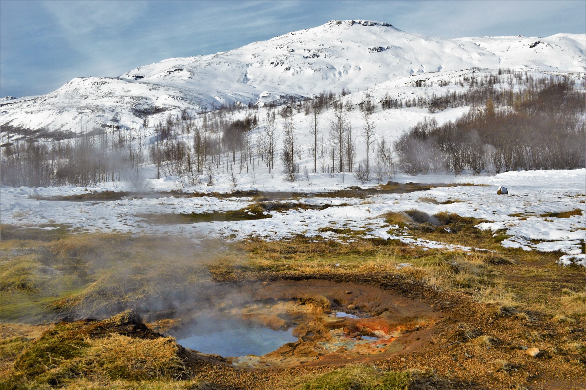 Hveragerði hot springs and geysirs Iceland