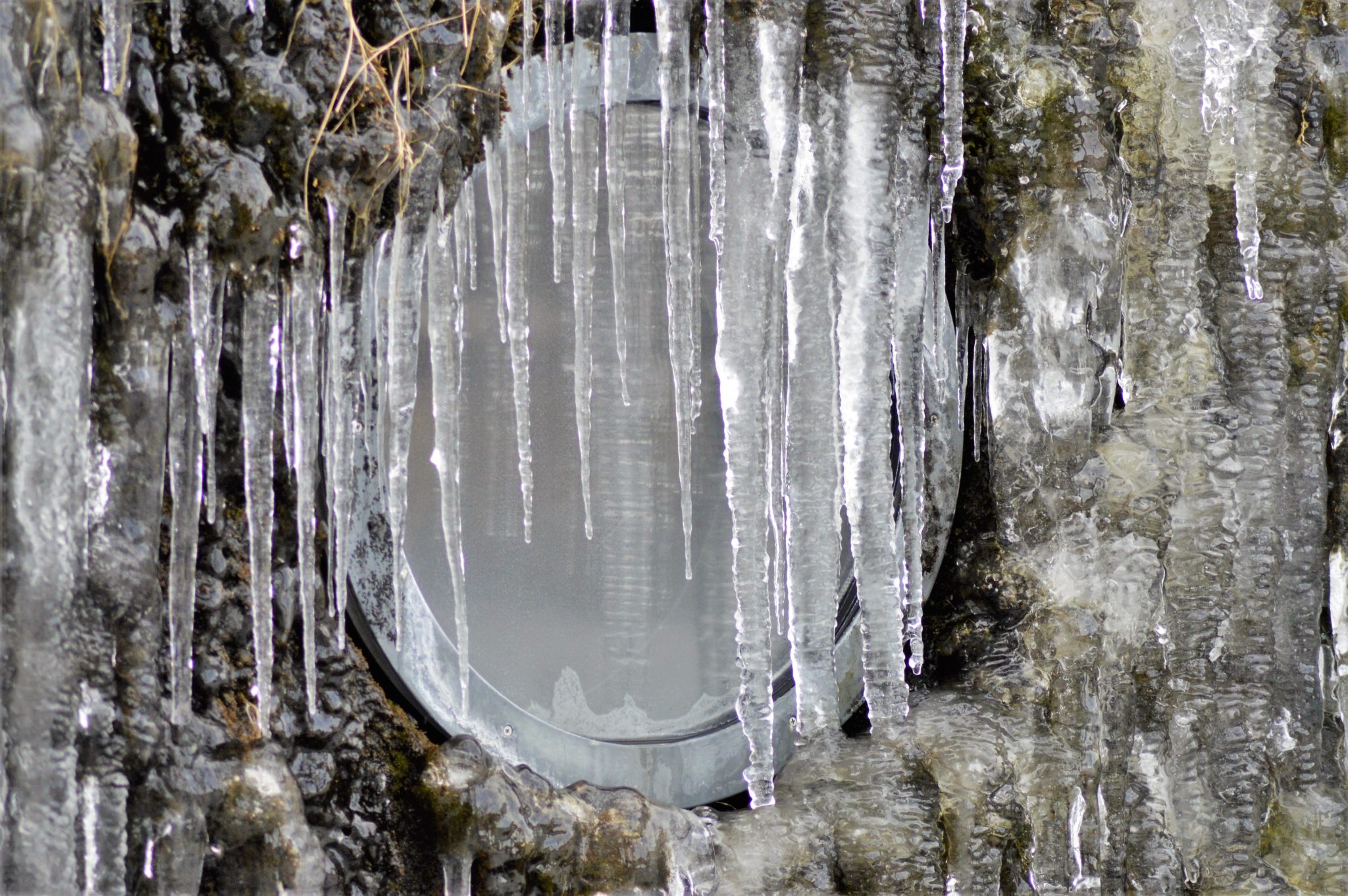 City Hall Reykjavik, winter in Iceland
