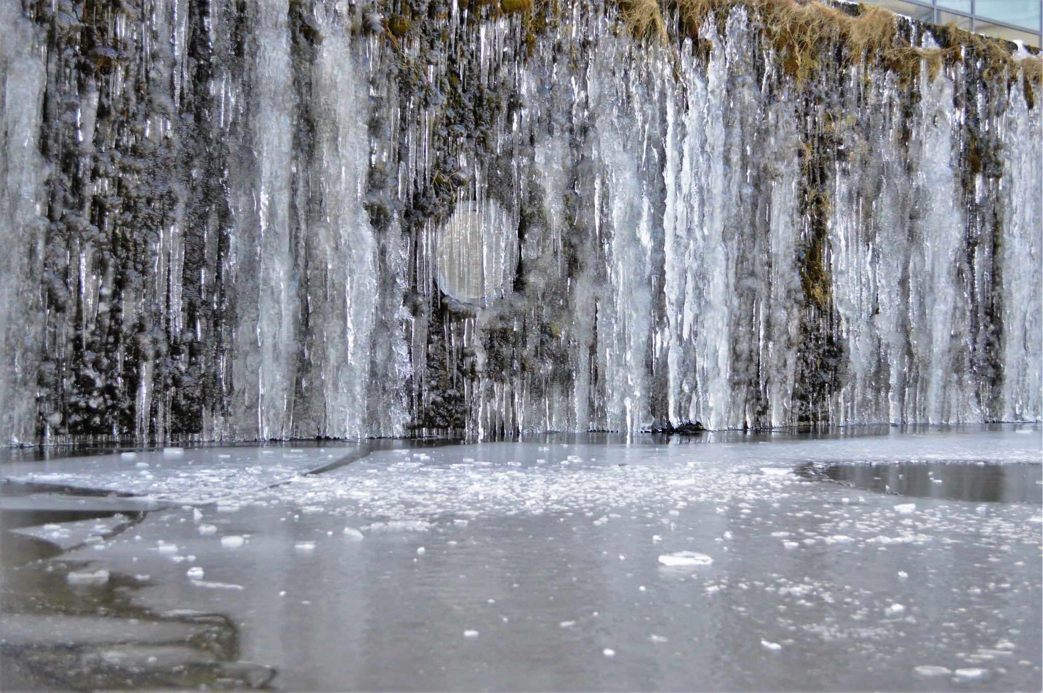 =Free things to do in Reykjavik, Iceland, City Hall frozen over in winter