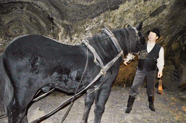 Man with horse, Wieliczka Salt Mine, Poland