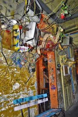 Manakin on wall, Szimpla Kert ruin bar, Budapest, Hungary