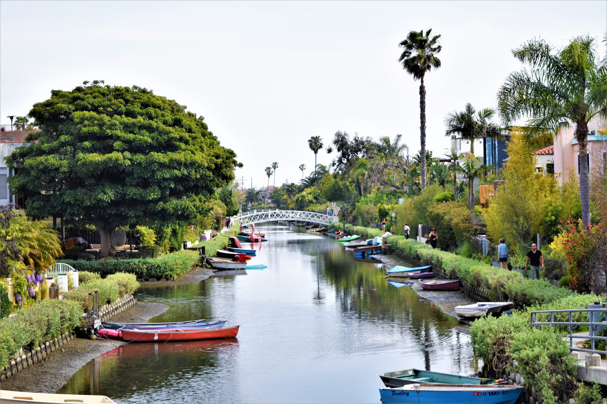 15-free-things-to-do-in-los-angeles-enjoy-la-on-a-budget