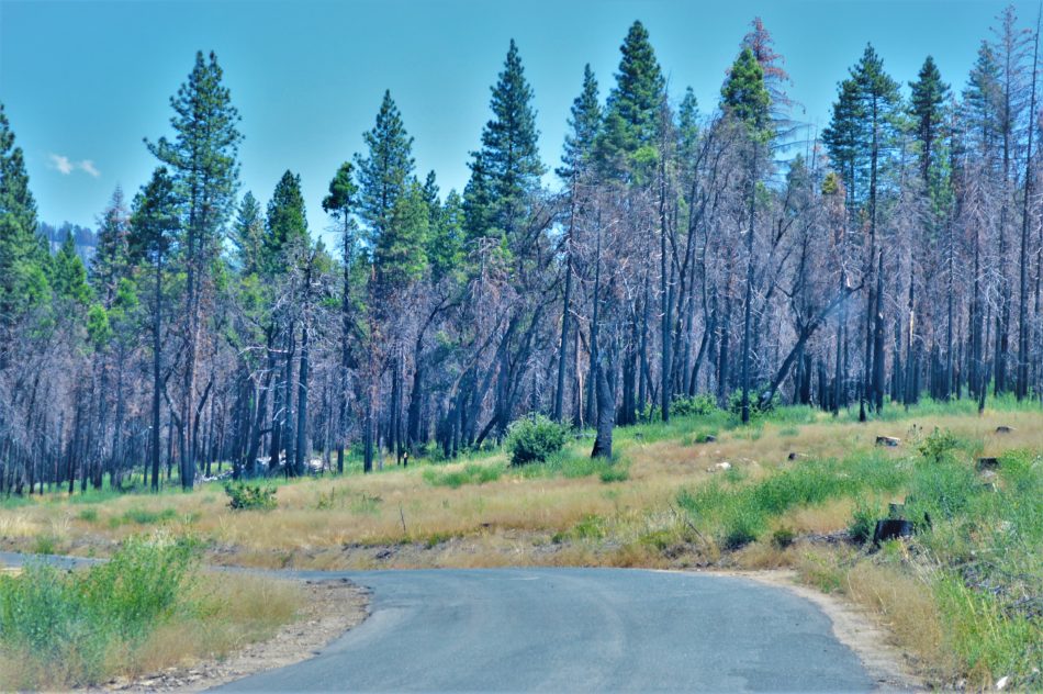 Top things to do at Yosemite National Park | California